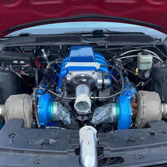 Meet your Posher, Ethan - Picture 1 of 1